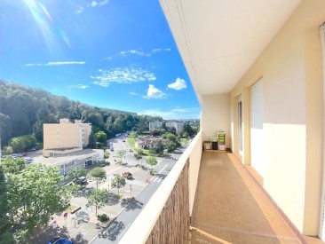 appartement SAINTE-FOY-LÈS-LYON 69110